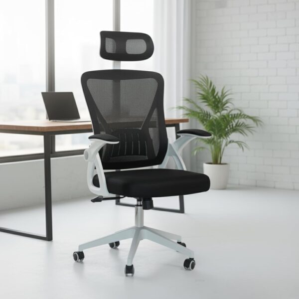 Ergonomic Office Chair Black/White