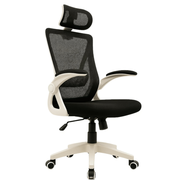 Ergonomic Office Chair Black/White